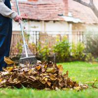 nettoyage feuilles Damville